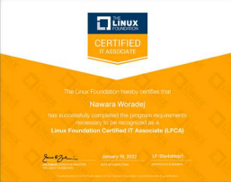 Linux Professional Institute certified engineer certificate